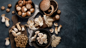 A Beginner's Guide to Mushroom Cultivation: Unleashing the Fungal Magic