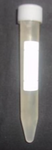 Yellow Chanterelle mushrooms = 15ml