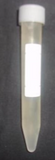 Yellow Chanterelle mushrooms = 15ml